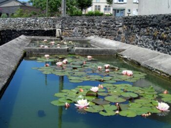 Lavoir du bournat